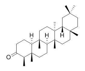 無羈萜，木栓酮 CAS號(hào)：559-74-0 對(duì)照品 標(biāo)準(zhǔn)品