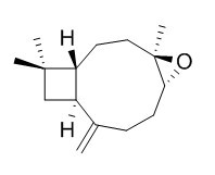 石竹素 CAS號：1139-30-6 對照品 標(biāo)準(zhǔn)品