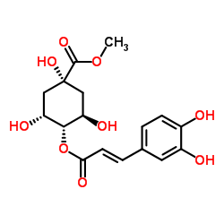 4-O-(E)-咖啡?；鼘幩峒柞?丨CAS No.123372-74-7