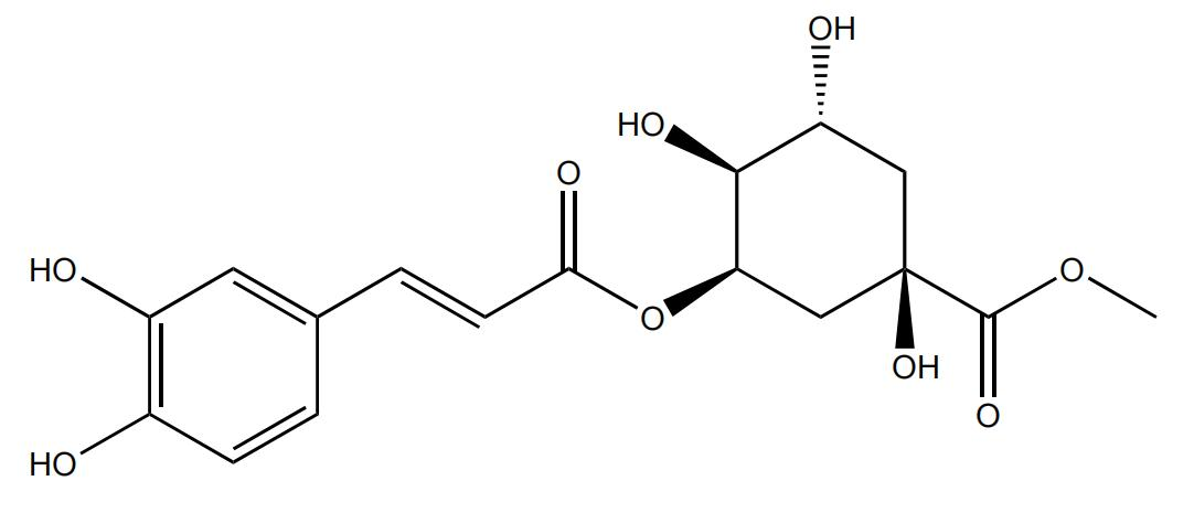新綠原酸甲酯 | CAS No.123410-65-1