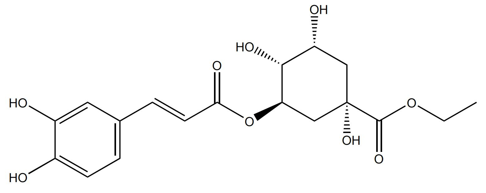 綠原酸乙酯 | CAS No.425408-42-0